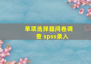 单项选择题问卷调查 spss录入